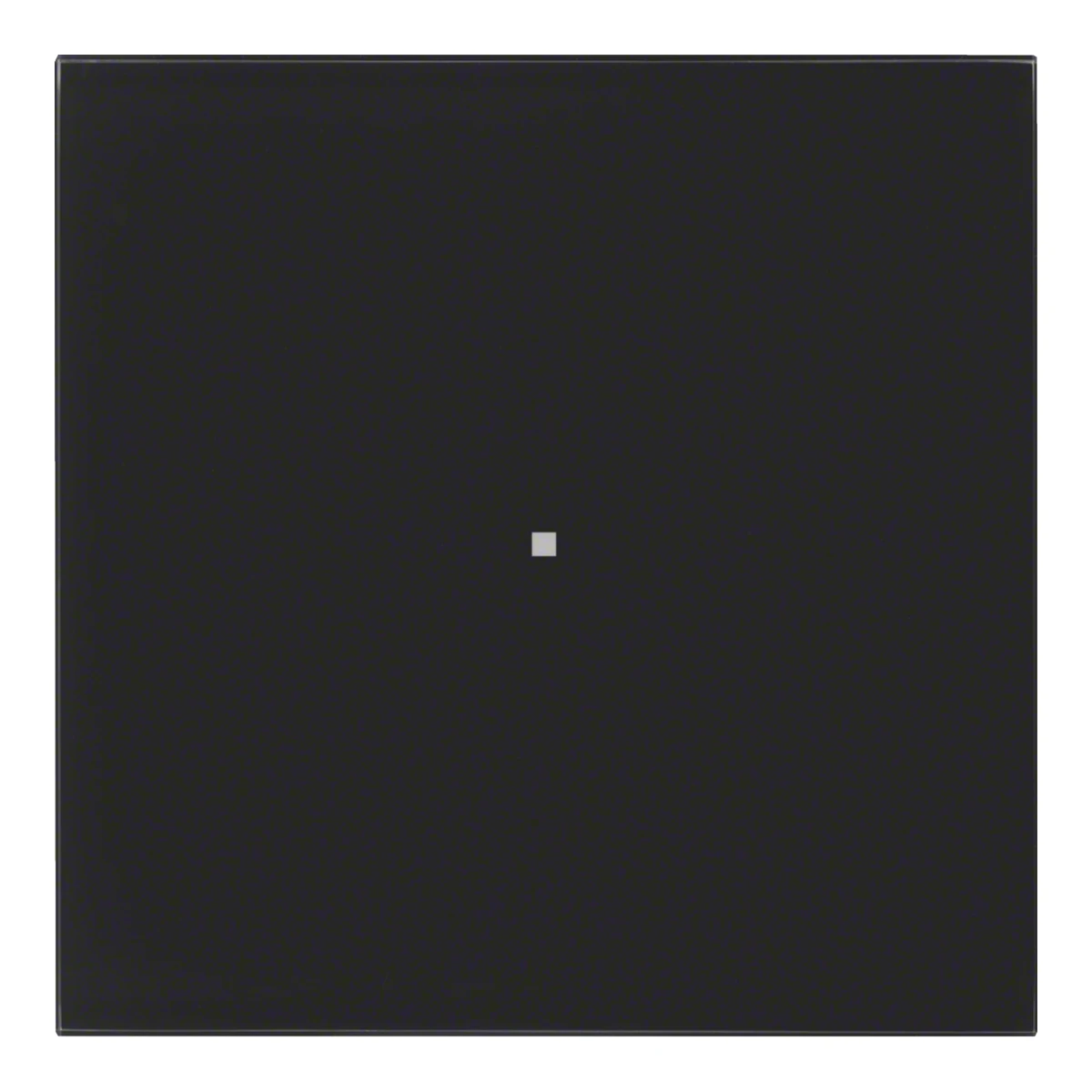 Hager Berker B.IQ Cam